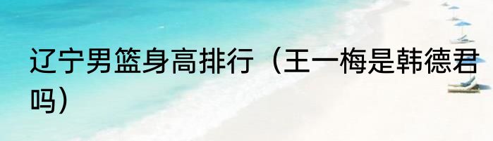 辽宁男篮身高排行（王一梅是韩德君吗）