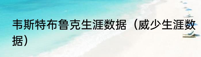 韦斯特布鲁克生涯数据（威少生涯数据）