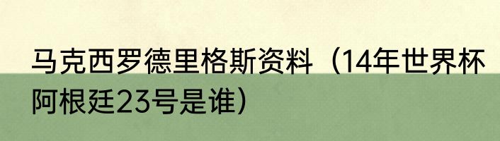 马克西罗德里格斯资料（14年世界杯阿根廷23号是谁）