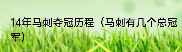 14年马刺夺冠历程（马刺有几个总冠军）