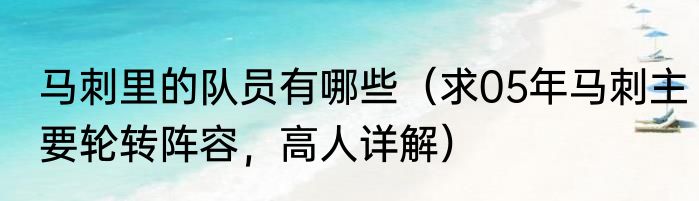 马刺里的队员有哪些（求05年马刺主要轮转阵容，高人详解）