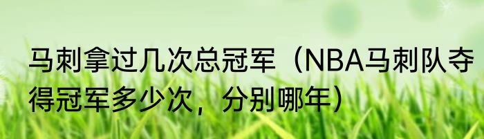 马刺拿过几次总冠军（NBA马刺队夺得冠军多少次，分别哪年）