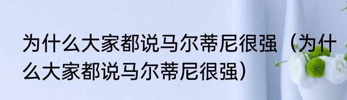 为什么大家都说马尔蒂尼很强（为什么大家都说马尔蒂尼很强）