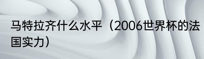 马特拉齐什么水平（2006世界杯的法国实力）