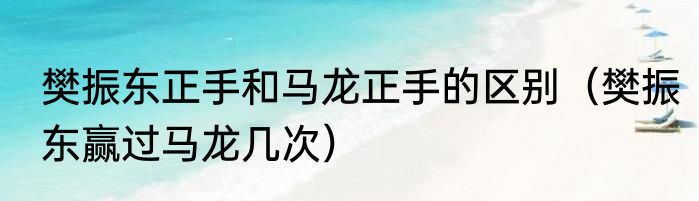 樊振东正手和马龙正手的区别（樊振东赢过马龙几次）