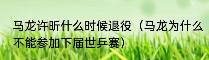 马龙许昕什么时候退役（马龙为什么不能参加下届世乒赛）