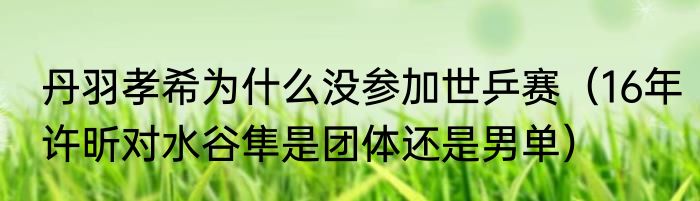 丹羽孝希为什么没参加世乒赛（16年许昕对水谷隼是团体还是男单）