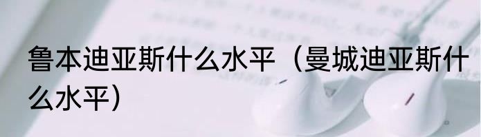鲁本迪亚斯什么水平（曼城迪亚斯什么水平）