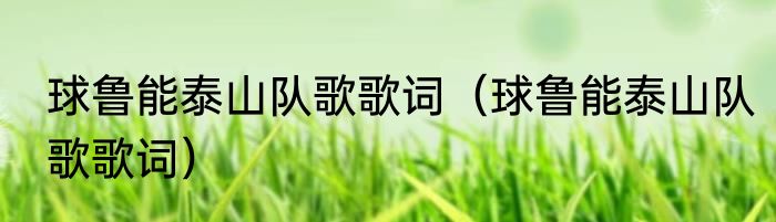 球鲁能泰山队歌歌词（球鲁能泰山队歌歌词）