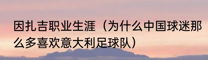 因扎吉职业生涯（为什么中国球迷那么多喜欢意大利足球队）