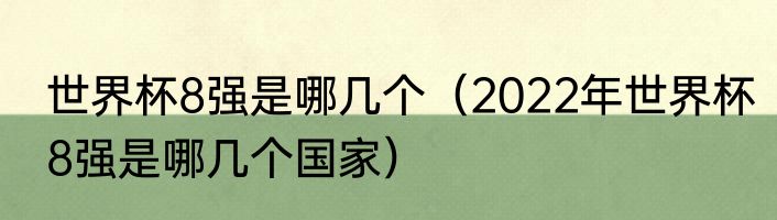 世界杯8强是哪几个（2022年世界杯8强是哪几个国家）