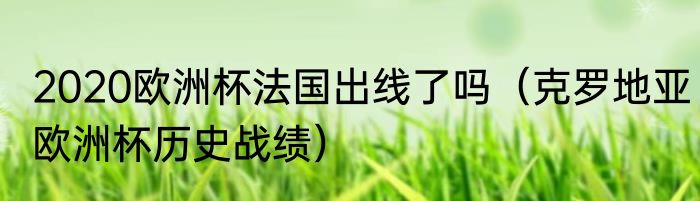 2020欧洲杯法国出线了吗（克罗地亚欧洲杯历史战绩）