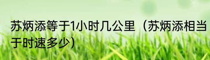 苏炳添等于1小时几公里（苏炳添相当于时速多少）