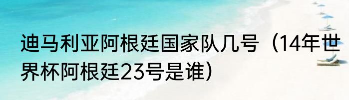 迪马利亚阿根廷国家队几号（14年世界杯阿根廷23号是谁）