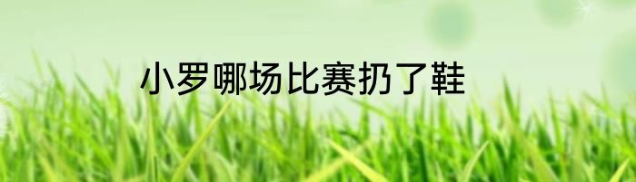 小罗哪场比赛扔了鞋