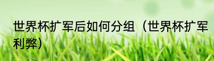 世界杯扩军后如何分组（世界杯扩军利弊）