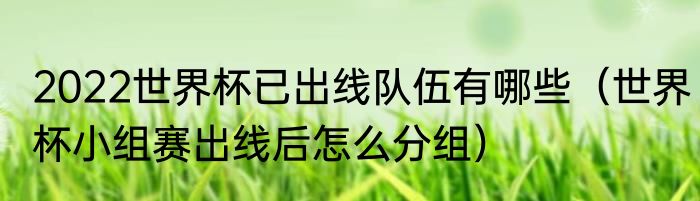 2022世界杯已出线队伍有哪些（世界杯小组赛出线后怎么分组）