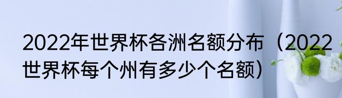 2022年世界杯各洲名额分布（2022世界杯每个州有多少个名额）