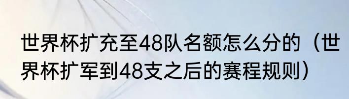 世界杯扩充至48队名额怎么分的（世界杯扩军到48支之后的赛程规则）