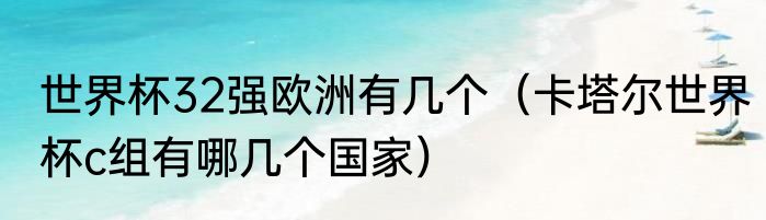 世界杯32强欧洲有几个（卡塔尔世界杯c组有哪几个国家）