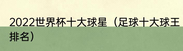 2022世界杯十大球星（足球十大球王排名）