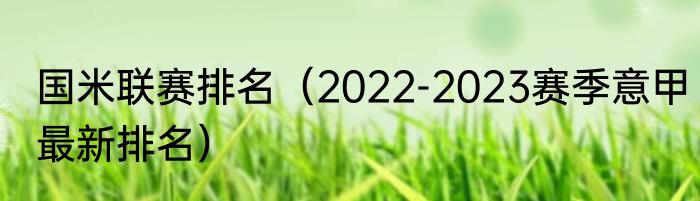 国米联赛排名（2022-2023赛季意甲最新排名）