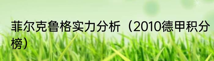 菲尔克鲁格实力分析（2010德甲积分榜）