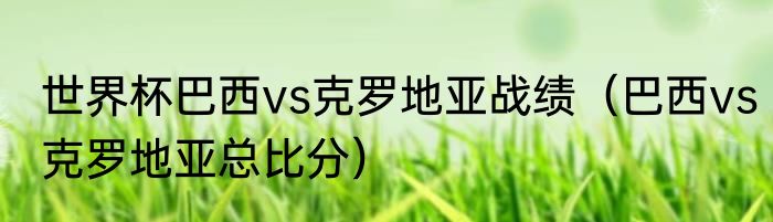 世界杯巴西vs克罗地亚战绩（巴西vs克罗地亚总比分）