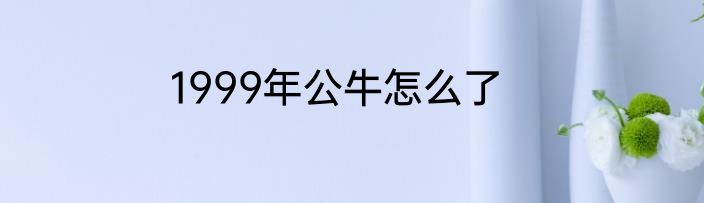 1999年公牛怎么了
