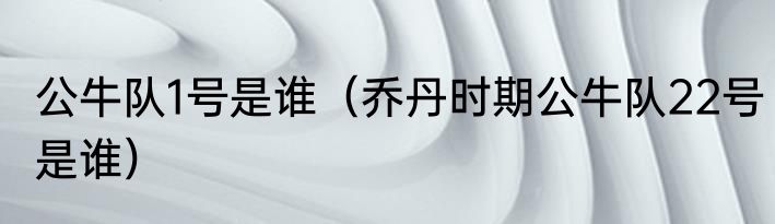 公牛队1号是谁（乔丹时期公牛队22号是谁）