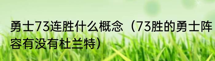 勇士73连胜什么概念（73胜的勇士阵容有没有杜兰特）