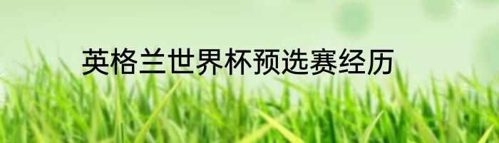 英格兰世界杯预选赛经历