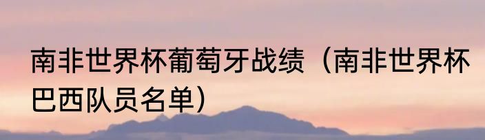 南非世界杯葡萄牙战绩（南非世界杯巴西队员名单）