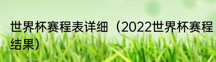 世界杯赛程表详细（2022世界杯赛程结果）