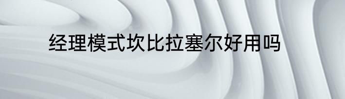 经理模式坎比拉塞尔好用吗