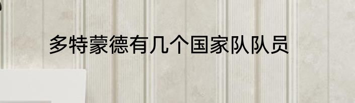 多特蒙德有几个国家队队员