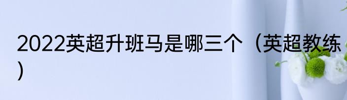 2022英超升班马是哪三个（英超教练）