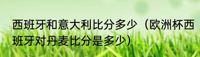 西班牙和意大利比分多少（欧洲杯西班牙对丹麦比分是多少）