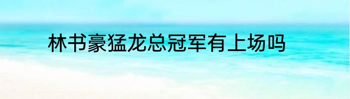 林书豪猛龙总冠军有上场吗