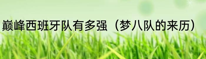 巅峰西班牙队有多强（梦八队的来历）