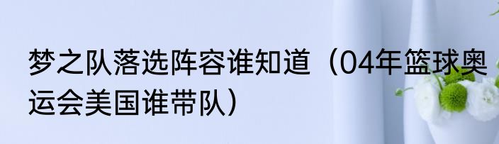 梦之队落选阵容谁知道（04年篮球奥运会美国谁带队）