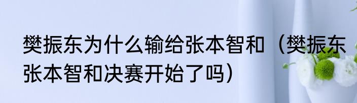 樊振东为什么输给张本智和（樊振东张本智和决赛开始了吗）