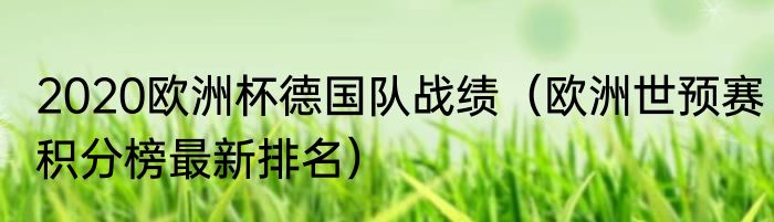 2020欧洲杯德国队战绩（欧洲世预赛积分榜最新排名）