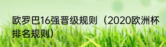 欧锦赛16强赛赛程（欧罗巴16强晋级规则）