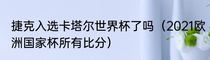 捷克入选卡塔尔世界杯了吗（2021欧洲国家杯所有比分）