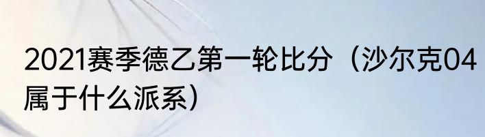2021赛季德乙第一轮比分（沙尔克04属于什么派系）