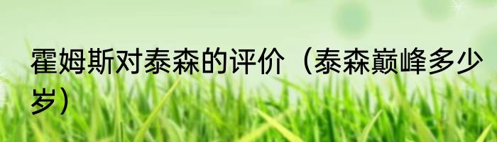 霍姆斯对泰森的评价（泰森巅峰多少岁）