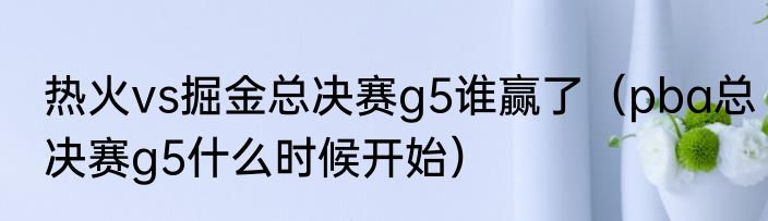 热火vs掘金总决赛g5谁赢了（pba总决赛g5什么时候开始）