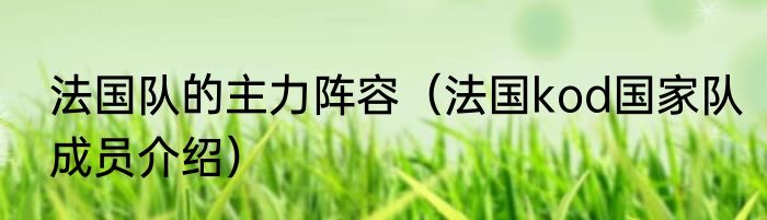 法国队的主力阵容（法国kod国家队成员介绍）