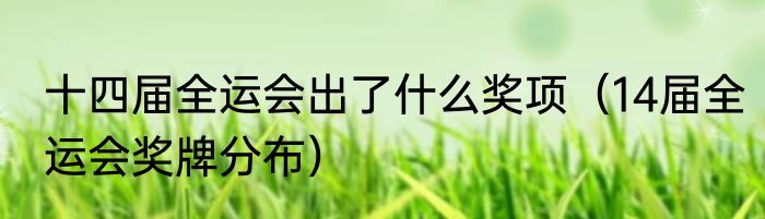 十四届全运会出了什么奖项（14届全运会奖牌分布）